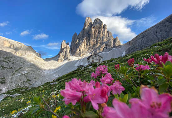 Die Zsigmondyhütte und der Zwöflerkogel