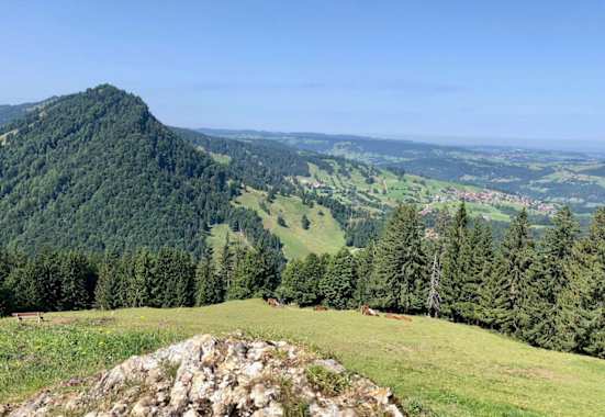 Blick auf Steibis vom Prodel