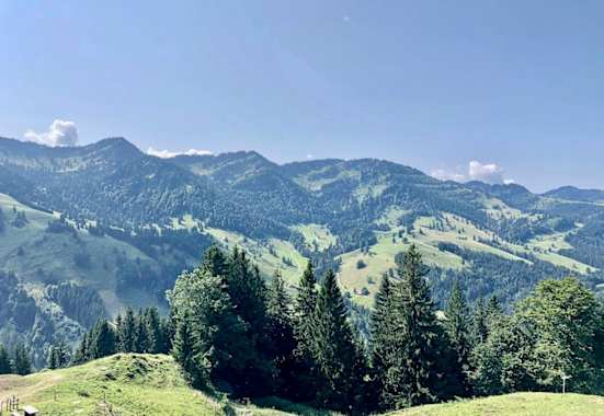 Blick auf die Nagelfluhkette vom Prodel