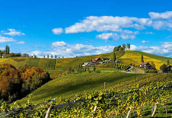 Wunderschöne Weinberge - Südsteirische Weinstraße