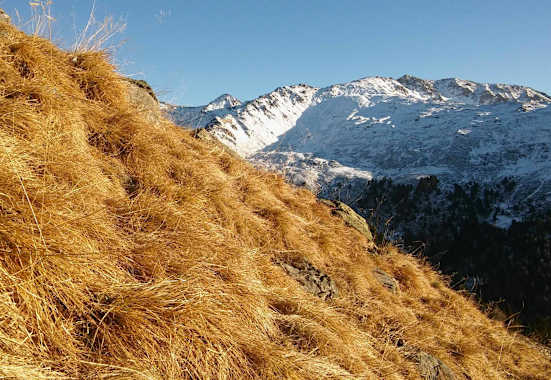 Das Arztal ist ein wunderschönes, ruhiges Tal