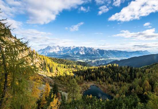 Blick vom Weg Nr. 66 auf den Untersee