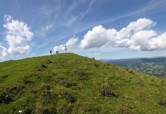 Plankogel auf der Sommeralm