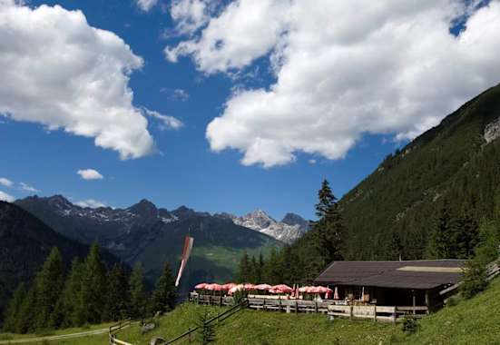 Die aussichtsreiche Grießbachalm oberhalb von Häselgehr im Tiroler Lechtal.