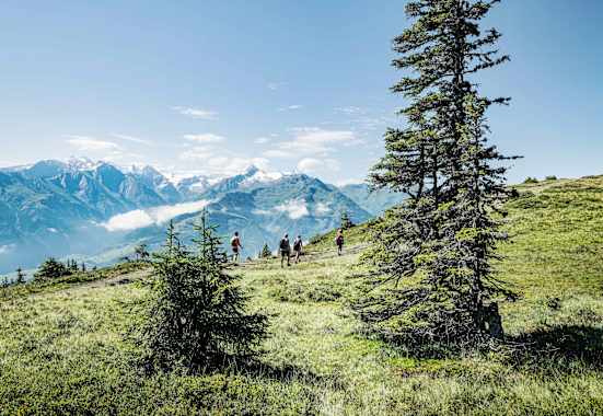 Am „Pinzgauer Spaziergang“ mit herrlicher Aussicht in den Nationalpark Hohe Tauern