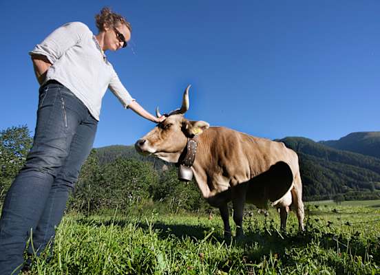 Wallis Goms Wandern