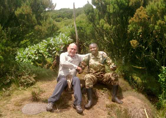 Virungas Berggorillas Reise