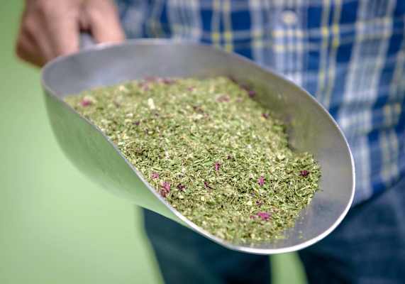 Eine gemahlene Teemischung.