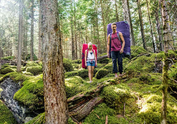 Die Sportler marschieren im Wald.