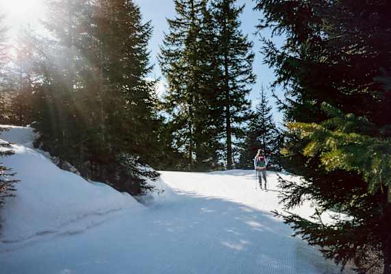 Tourengeherin im Wald