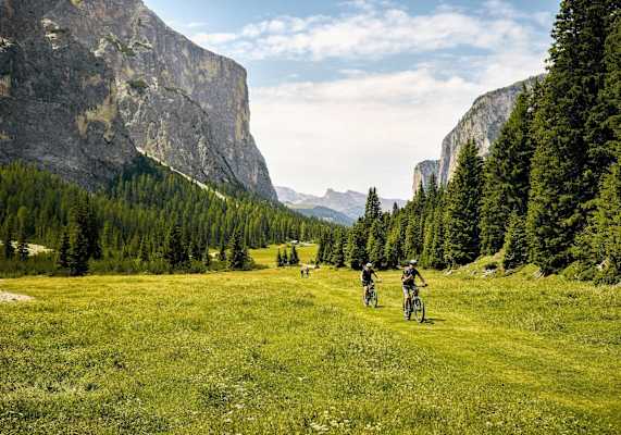 Eine Gruppe beim Radfahren am Almboden