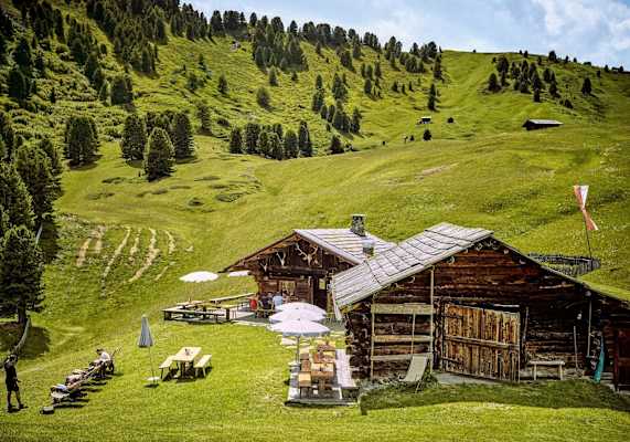 Eine der 20 Almhütten, umgeben von saftigen Almwiesen
