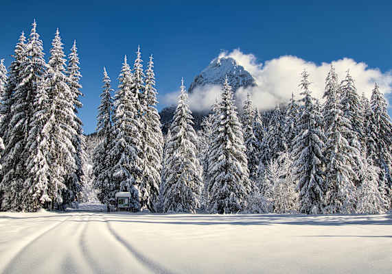 Guffert in Steinberg am Rofan