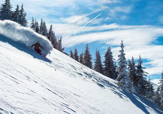 Der Pulverschnee zaubert eine Staubwolke hinter den Freeridern
