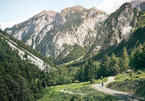 Abstieg über gemütliche Forststraßen