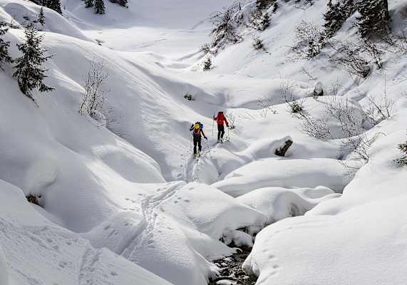 Aufstieg entlang des Wildalmbachs.