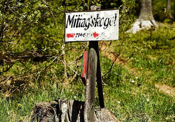 Richtungsweisendes Schild in einem Wald