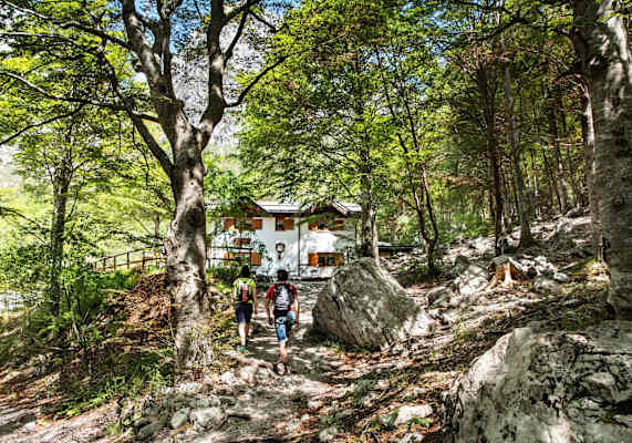 Eine idyllische Hütte mitten im Wald.
