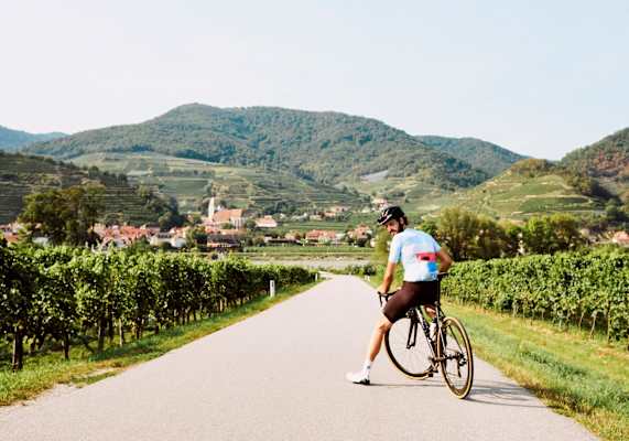 Blick auf Spitz an der Donau