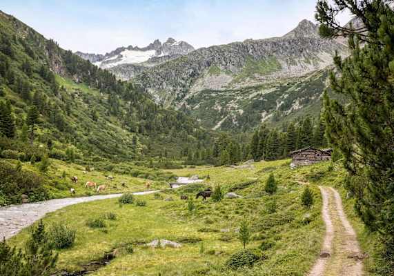 Blick in das malerische Rainbachtal