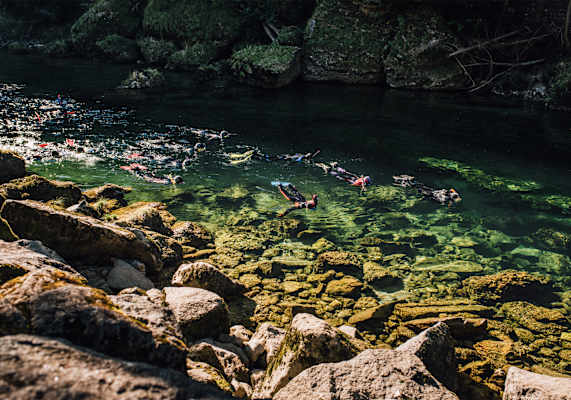Schnorchler lassen sich in der Traun treiben.