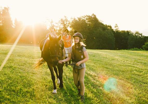 Mädchen führt ihr Pferd über die Wiese