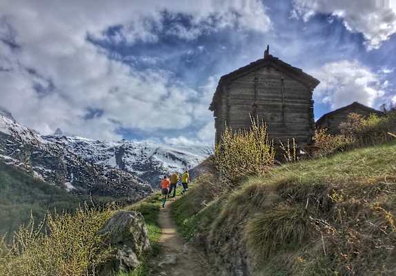 Terrex Zermatt Experience Matterhorn
