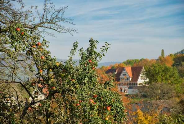 Beim Freilichtmuseum Beuren