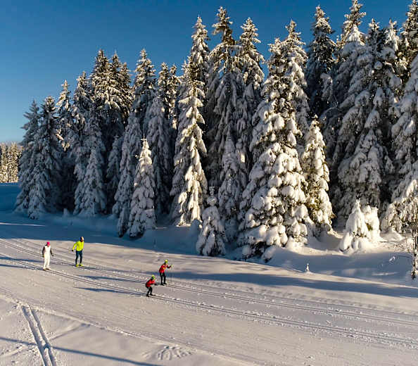 Loipenwandern: Die schönsten mehrtägigen Langlaufstrecken in Deutschland und der Schweiz