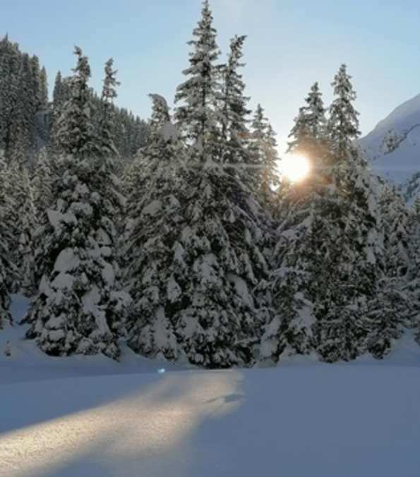 Winterlandschaft auf der Stadlalm