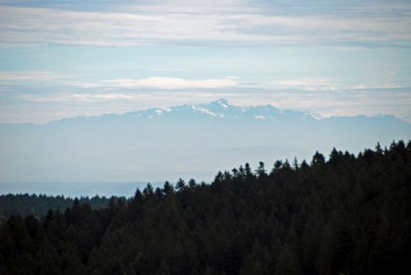 5 Wanderungen im Schwarzwald