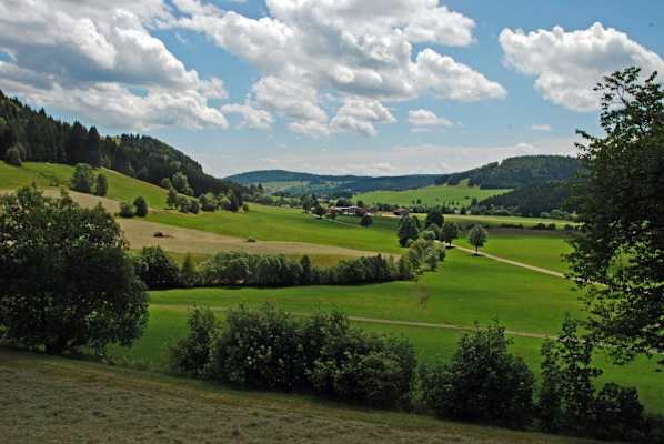 5 Wanderungen im Schwarzwald