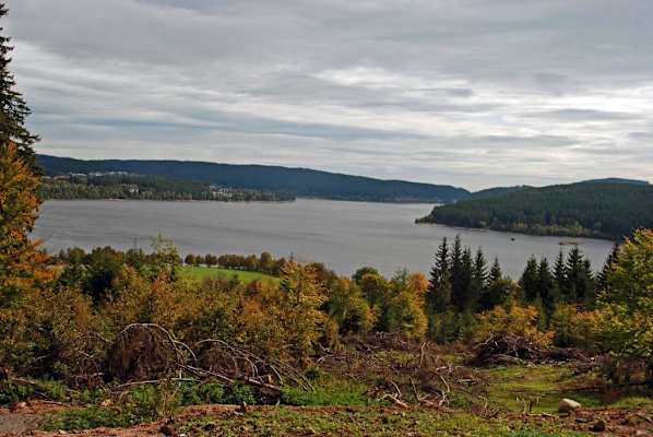 5 Wanderungen im Schwarzwald