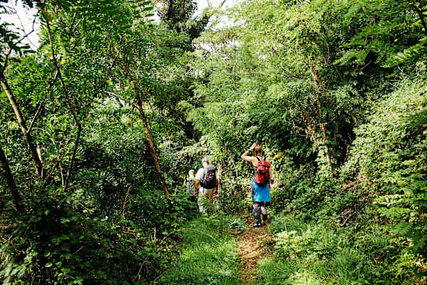 Hoachwool-Klettersteig