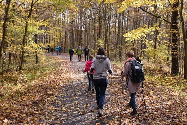Nationalfeiertagswandern im Nationalpark Thayatal