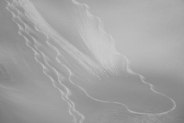 Freerider ziehen gerne gemeinsam ihre Schwünge im Pulverschnee