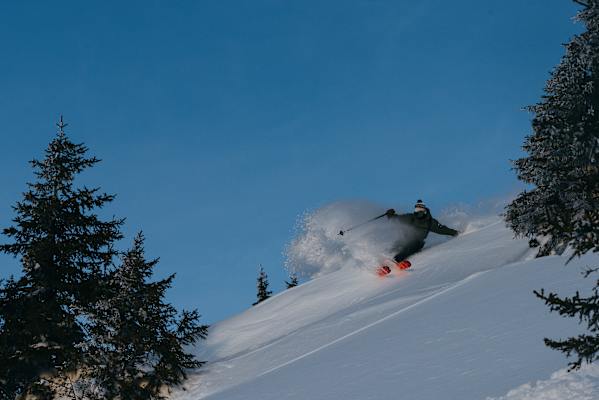 Feinster Pulver im lichten Wald unterhalb des Schattberggipfels