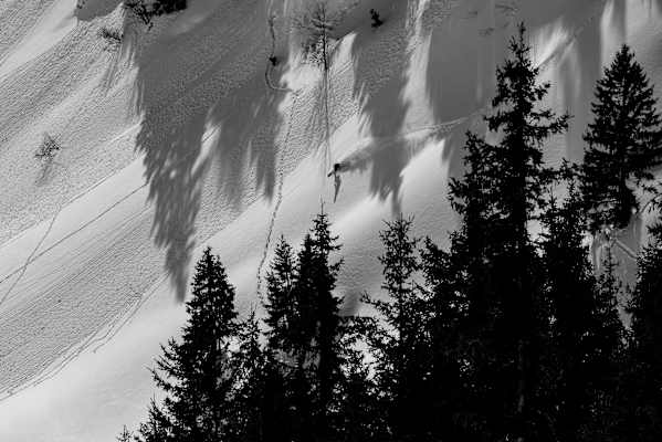 Clem Bergmann im Lärchenwald von Fieberbrunn