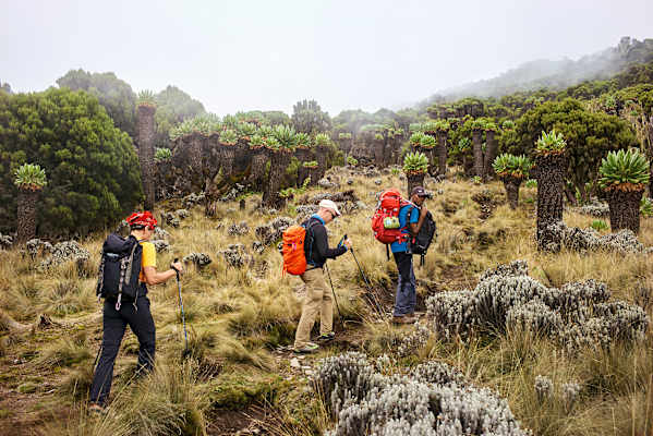Reise Kilimanjaro
