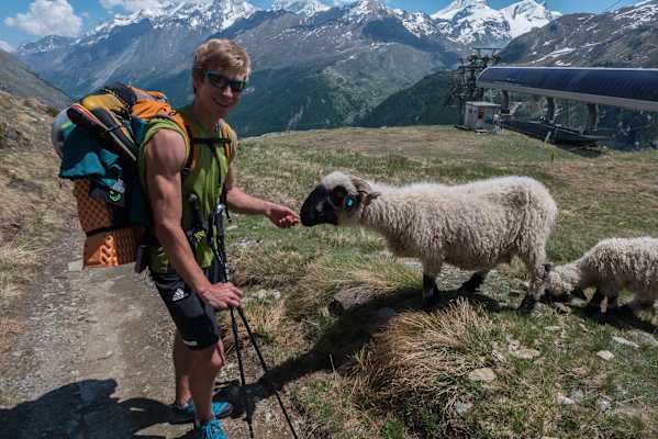 Simon Messner im Zustieg zum Matterhorn