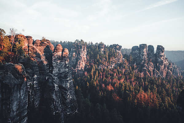 Dichter Wald in rotem Herbstlicht mit Sandsteingipfel im Nationalpark Elbsandsteingebirge im Osten Deutschlands