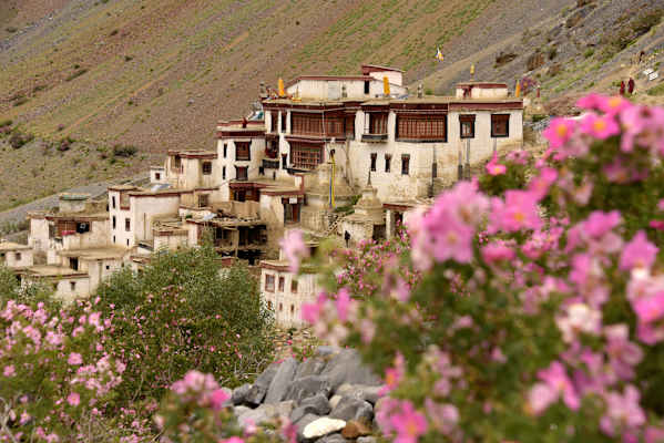 Zanskar Himalaya Trekking
