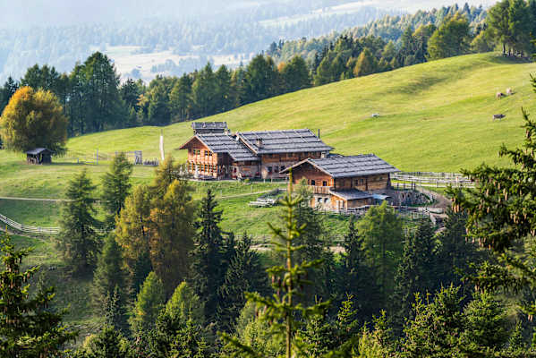 Kreuzwiesen Alm in Südtirol