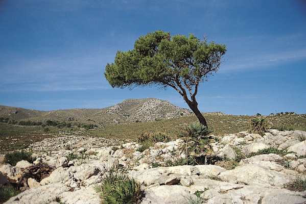 Naturpark Mallorca