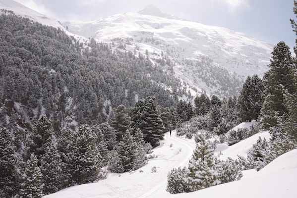 Ötztaler Alpen, Similaun & Fineilspitze, Tirol