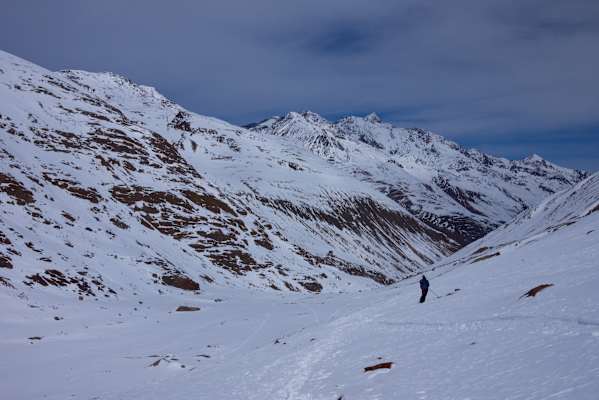 Ötztaler Alpen, Similaun & Fineilspitze, Tirol