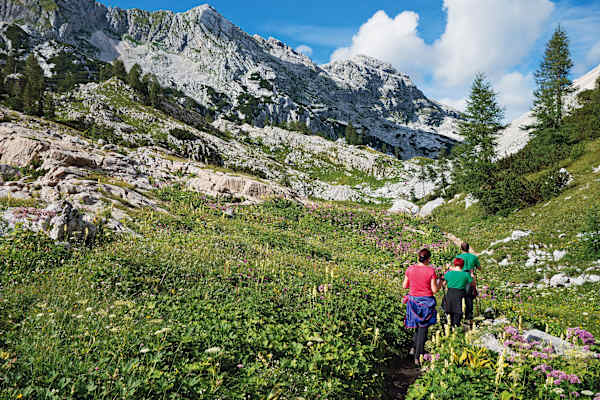 Je weiter man dem Tal entlang schreitet, umso grüner wird es.