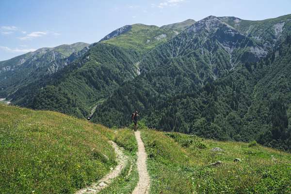 Quer über eine blühende Almwiese: weit ist es nicht mehr!