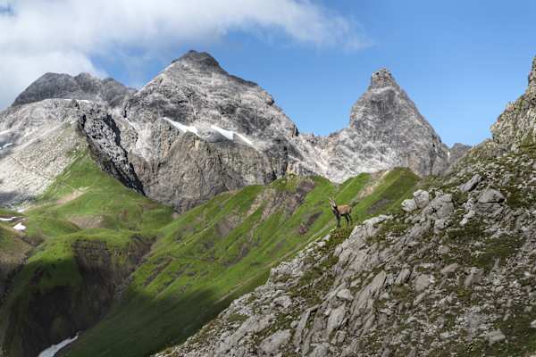 August: Heilbronner Weg