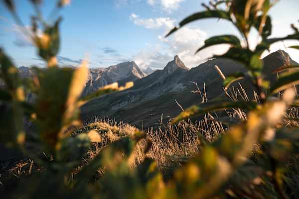 September: Wilder und Schneck